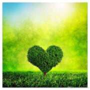 ヒメ日記 2025/03/26 08:17 投稿 みわこ 新宿・新大久保おかあさん