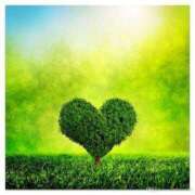 ヒメ日記 2025/03/26 08:35 投稿 みわこ 新宿・新大久保おかあさん