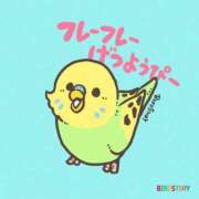 ヒメ日記 2025/04/07 11:20 投稿 みわこ 新宿・新大久保おかあさん