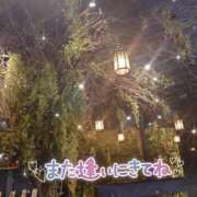 ヒメ日記 2025/04/12 22:02 投稿 みわこ 新宿・新大久保おかあさん