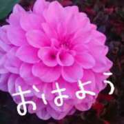 ヒメ日記 2025/04/13 10:30 投稿 みわこ 新宿・新大久保おかあさん