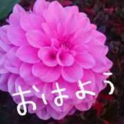 ヒメ日記 2025/04/13 10:40 投稿 みわこ 新宿・新大久保おかあさん