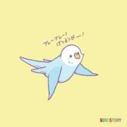 ヒメ日記 2025/04/14 09:14 投稿 みわこ 新宿・新大久保おかあさん