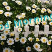 ヒメ日記 2025/04/17 07:31 投稿 みわこ 新宿・新大久保おかあさん