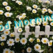 ヒメ日記 2025/04/17 07:50 投稿 みわこ 新宿・新大久保おかあさん