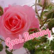 ヒメ日記 2025/04/18 08:42 投稿 みわこ 新宿・新大久保おかあさん