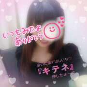 ヒメ日記 2025/04/26 08:56 投稿 みわこ 新宿・新大久保おかあさん