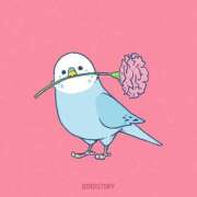 ヒメ日記 2025/05/11 10:10 投稿 みわこ 新宿・新大久保おかあさん