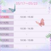 ヒメ日記 2025/05/17 08:20 投稿 みわこ 新宿・新大久保おかあさん