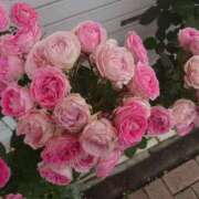 ヒメ日記 2025/05/22 08:40 投稿 みわこ 新宿・新大久保おかあさん