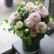 ヒメ日記 2025/06/08 07:20 投稿 みわこ 新宿・新大久保おかあさん