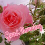 ヒメ日記 2025/07/05 07:10 投稿 みわこ 新宿・新大久保おかあさん