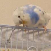 ヒメ日記 2025/07/11 12:18 投稿 みわこ 新宿・新大久保おかあさん