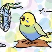 ヒメ日記 2025/07/17 14:26 投稿 みわこ 新宿・新大久保おかあさん