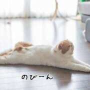 ヒメ日記 2025/07/22 17:07 投稿 みわこ 新宿・新大久保おかあさん