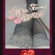 ヒメ日記 2025/08/28 08:17 投稿 みわこ 新宿・新大久保おかあさん