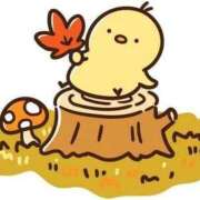 ヒメ日記 2025/09/23 09:00 投稿 みわこ 新宿・新大久保おかあさん