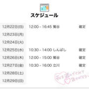 ヒメ日記 2024/12/22 18:00 投稿 はるの 世界のあんぷり亭 新橋店