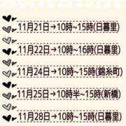 ヒメ日記 2025/11/17 21:02 投稿 はるの 世界のあんぷり亭 新橋店