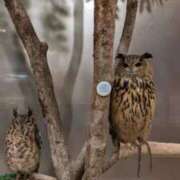 ヒメ日記 2025/03/03 07:58 投稿 仙道あやか 人妻愛姫◆Kiaro24時!!