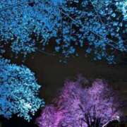 ヒメ日記 2026/04/04 19:24 投稿 仙道あやか 人妻愛姫◆Kiaro24時!!