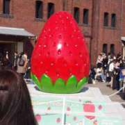 ヒメ日記 2026/02/24 11:31 投稿 いろは 熟女の風俗最終章 本厚木店