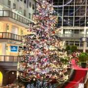 ヒメ日記 2024/12/20 15:26 投稿 北山ナース 病院