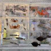 ヒメ日記 2025/02/06 16:28 投稿 北山ナース 病院