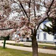 ヒメ日記 2025/05/01 11:26 投稿 北山ナース 病院