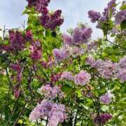 ヒメ日記 2025/05/19 15:58 投稿 北山ナース 病院