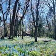 ヒメ日記 2026/04/24 14:46 投稿 北山ナース 病院