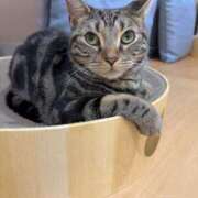 ヒメ日記 2025/02/23 17:30 投稿 水原　あい Oasis(薬研堀)