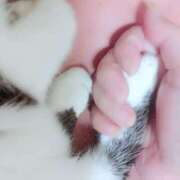 ヒメ日記 2025/05/08 22:02 投稿 水原　あい Oasis(薬研堀)