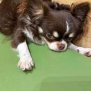 ヒメ日記 2026/02/13 20:18 投稿 水原　あい Oasis(薬研堀)