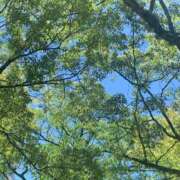 ヒメ日記 2026/05/19 18:56 投稿 水原　あい Oasis(薬研堀)