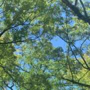 ヒメ日記 2026/05/19 19:10 投稿 水原　あい Oasis(薬研堀)