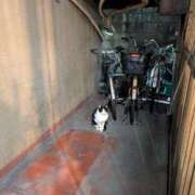 ヒメ日記 2025/01/17 14:43 投稿 くるみ ギン妻パラダイス梅田店