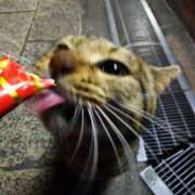 ヒメ日記 2025/01/25 12:37 投稿 くるみ ギン妻パラダイス梅田店