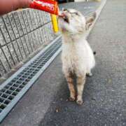 ヒメ日記 2025/01/26 12:16 投稿 くるみ ギン妻パラダイス梅田店