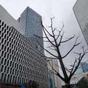 ヒメ日記 2025/02/21 12:56 投稿 くるみ ギン妻パラダイス梅田店