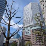 ヒメ日記 2025/03/29 13:24 投稿 くるみ ギン妻パラダイス梅田店