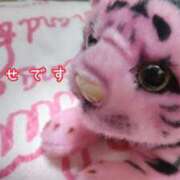 ヒメ日記 2025/05/10 20:26 投稿 あゆ 水戸デブ専肉だんご＆人妻浮気現場