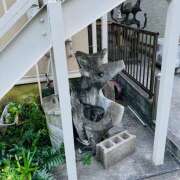 ヒメ日記 2026/01/06 11:45 投稿 まい 大塚 虹いろ回春