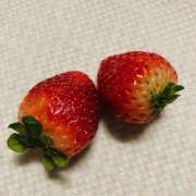 まい 春かも 大塚 虹いろ回春