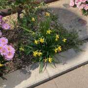 ヒメ日記 2026/03/09 14:01 投稿 まい 大塚 虹いろ回春