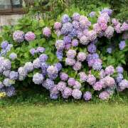 ヒメ日記 2026/06/29 13:50 投稿 まい 大塚 虹いろ回春
