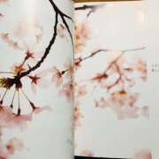 ヒメ日記 2025/04/07 12:59 投稿 さくら 大塚 虹いろ回春