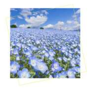 ヒメ日記 2025/05/28 00:17 投稿 さくら 大塚 虹いろ回春