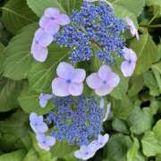 ヒメ日記 2025/06/04 14:28 投稿 さくら 大塚 虹いろ回春