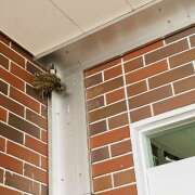 ヒメ日記 2025/07/03 00:00 投稿 さくら 大塚 虹いろ回春